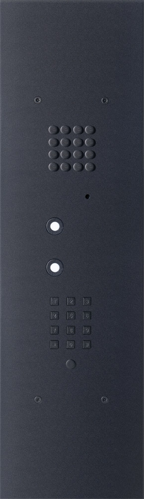 Wizard Bronze Black 2 buttons large model keypad and b/w cam